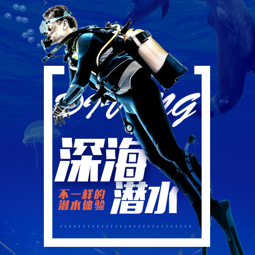 高端潛水服務(wù)潛水培訓(xùn)專業(yè)潛水