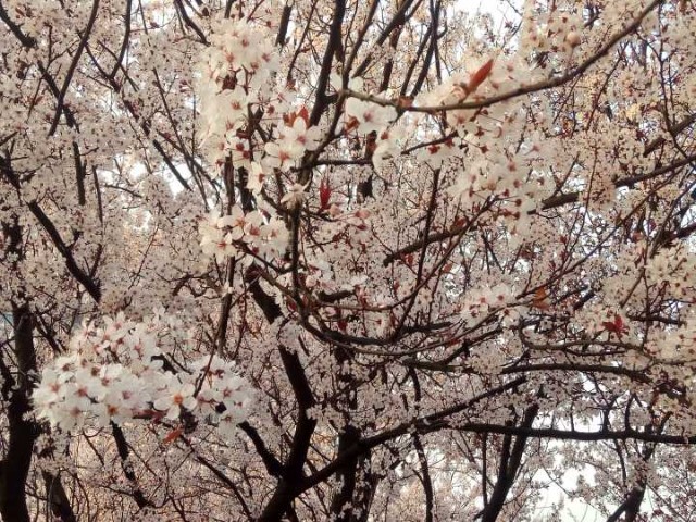 財院--聽見你的聲音