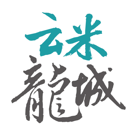 發(fā)展歷程