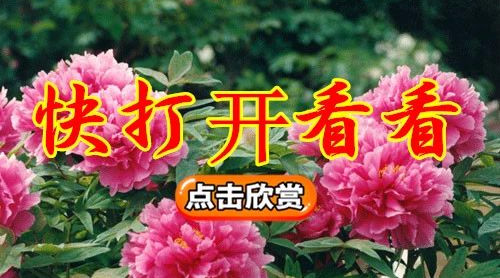 通知：奔五奔六奔七同胞書(shū)！請(qǐng)速看！