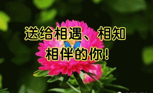 《相思》送給相遇、相知、相伴的你！