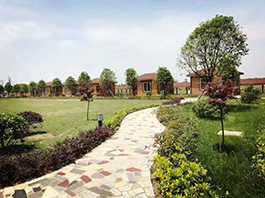 外婆家休闲农业