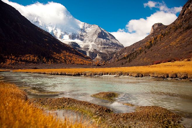 5月10日 中国品牌日--蕙之魅