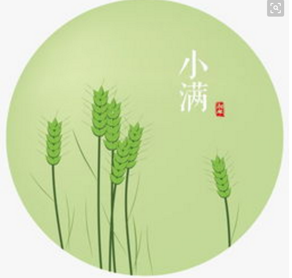 油樂(lè)嘉——樂(lè)享小滿