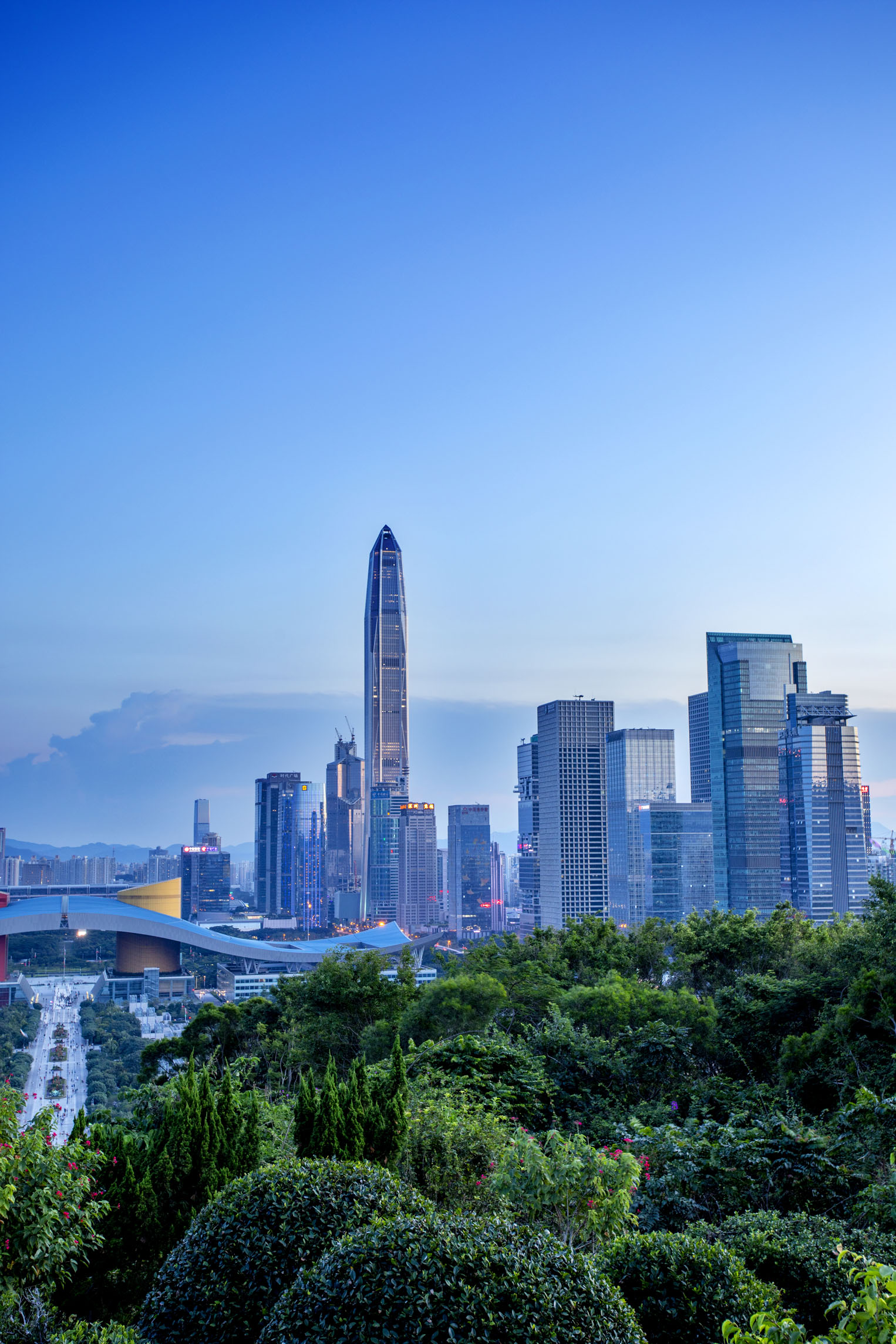 税延型养老保险