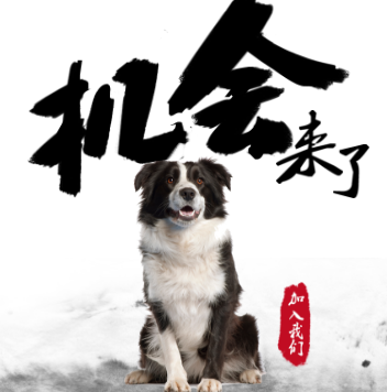 常州文力服务外包有限公司