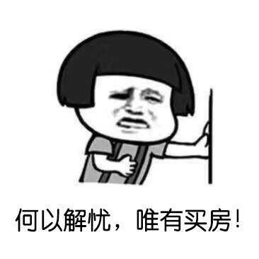 何以解忧，唯有买房