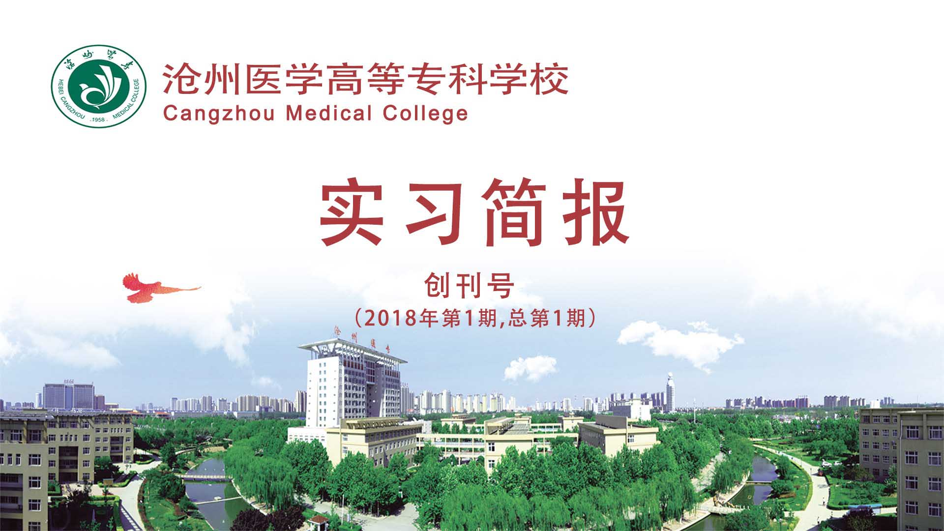 沧州医学高等专科学校实习简报