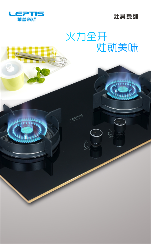 【莱普帝斯】2017年电子画册灶具系列