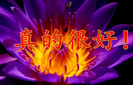 好 好 好 好 好 好 好 好 好 好 好 好，太好了！