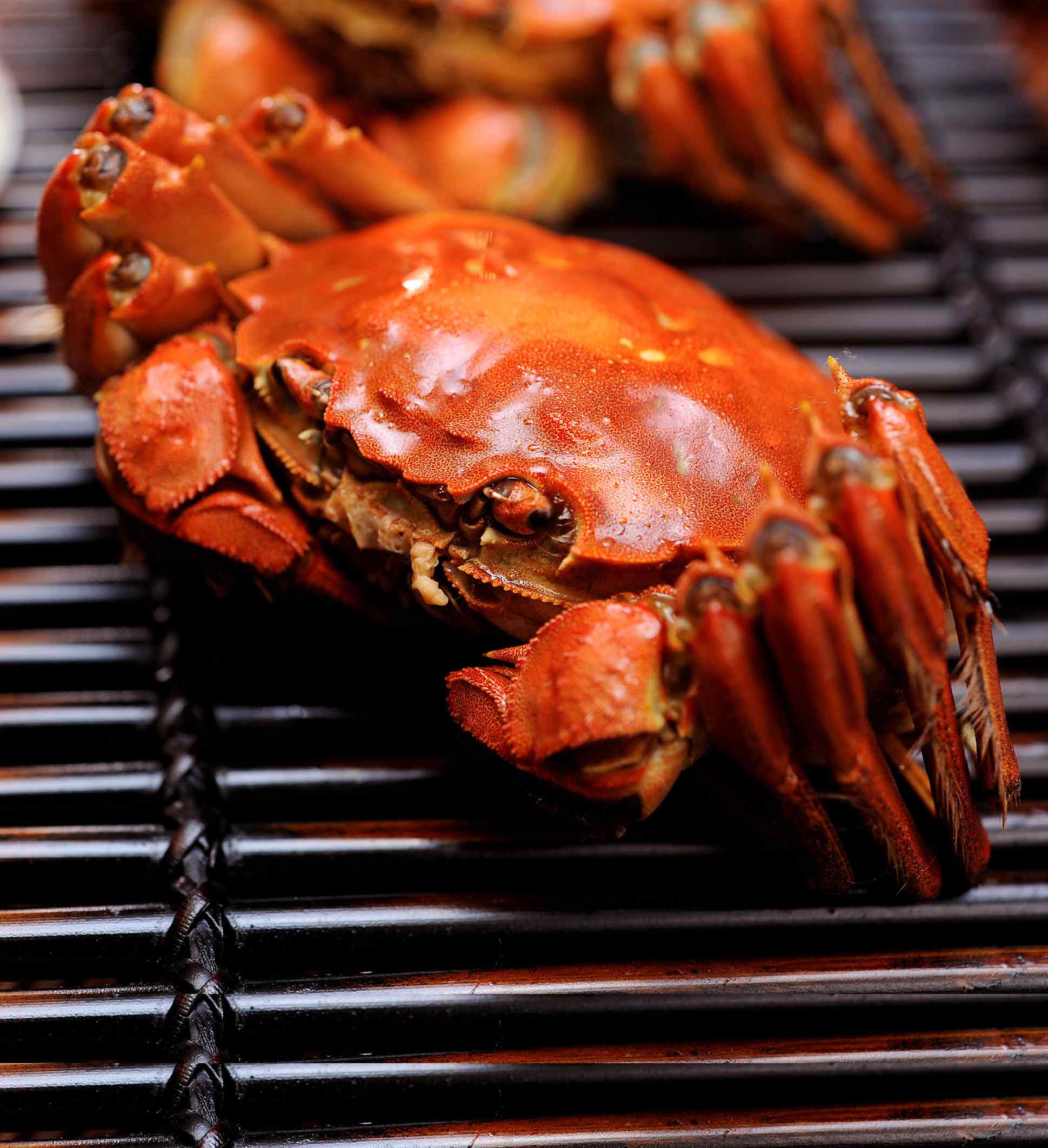 【三十一军】作品_三十一军免费模板_作品案例-兔展