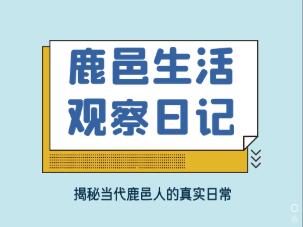 鹿邑生活觀察日記